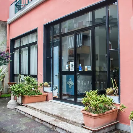 金字塔酒店 酒店