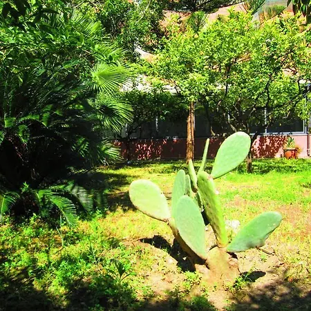 酒店 金字塔酒店 洛卡卢美拉