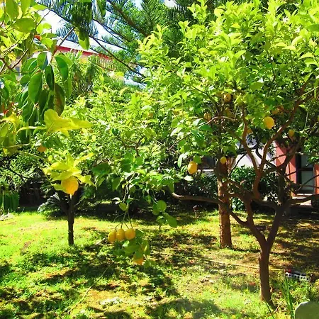 酒店 金字塔酒店 3*