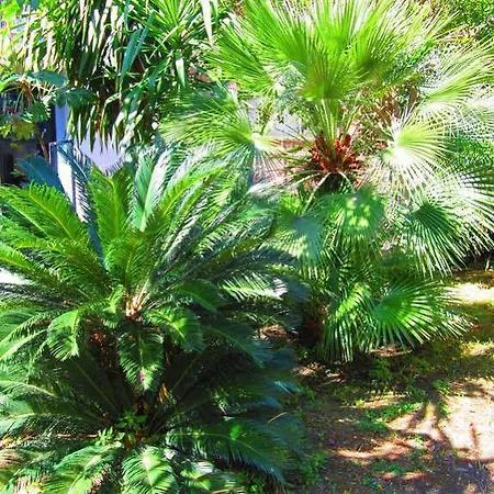 酒店 金字塔酒店 3*