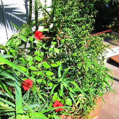 Hotel La Piramide