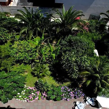 酒店 金字塔酒店