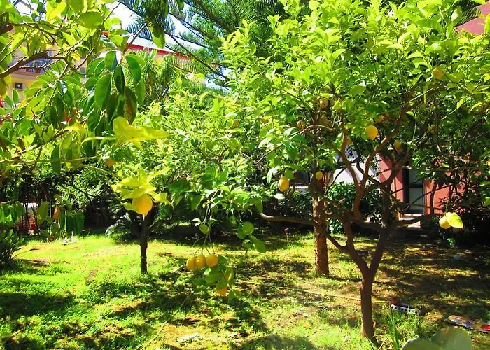 Hotel La Piramide 3*