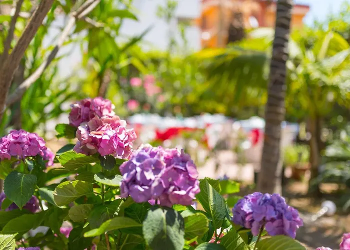 فندق La Piramide